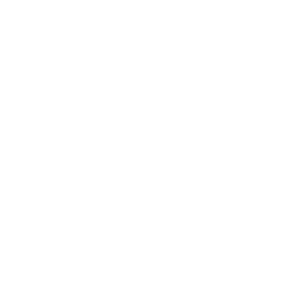 LOGO BIDARI